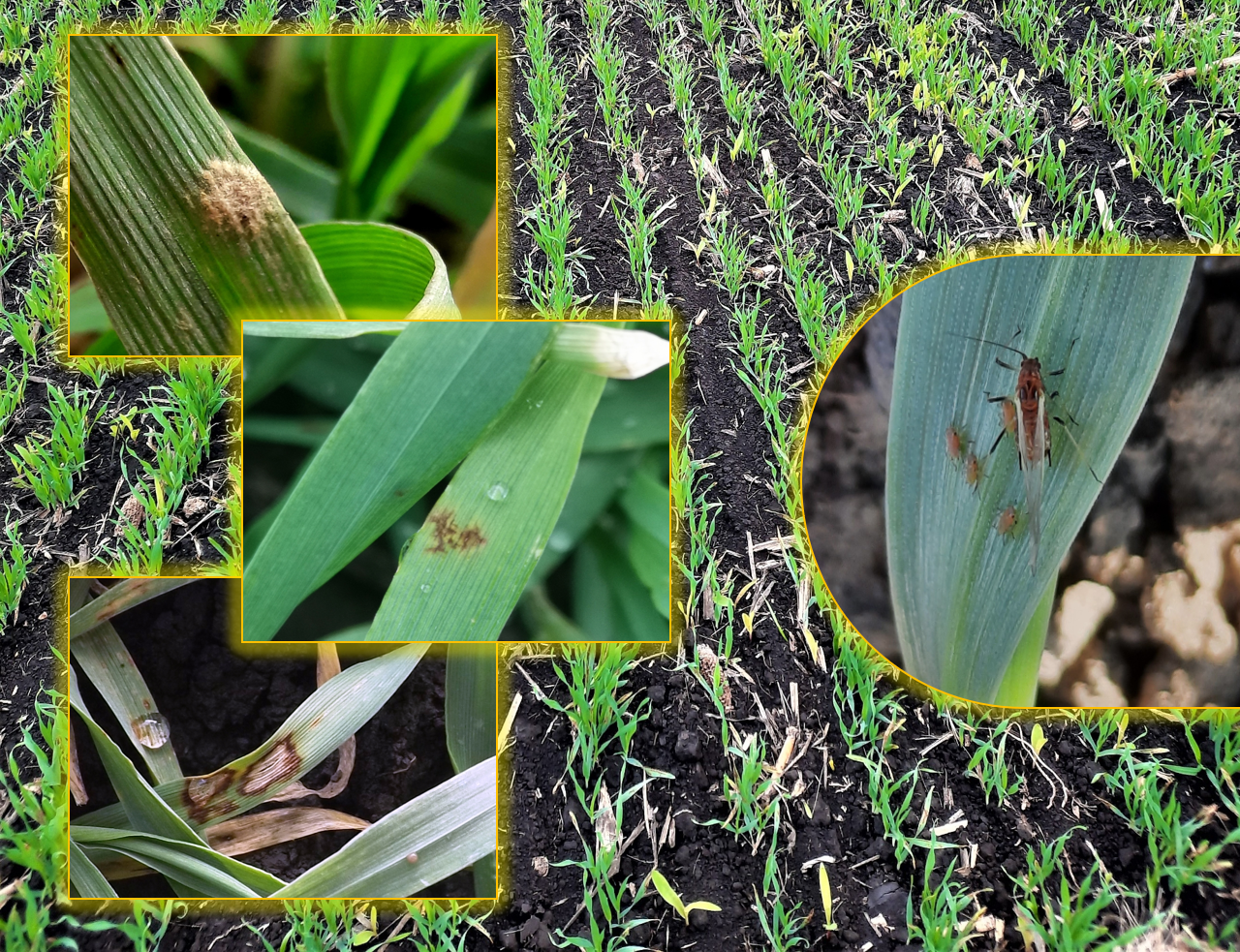 Fotografije fotografije